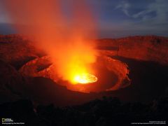 Tapeta National Geographic 294.jpg